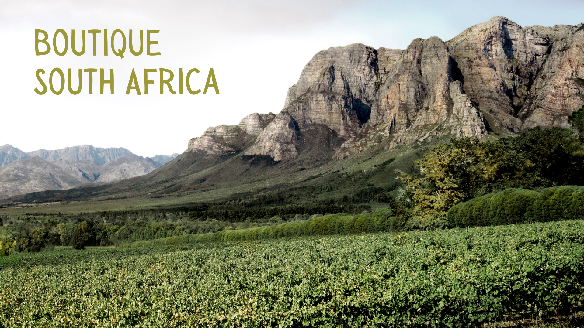 A vineyard next to a mountain with text 'Boutique South Africa'