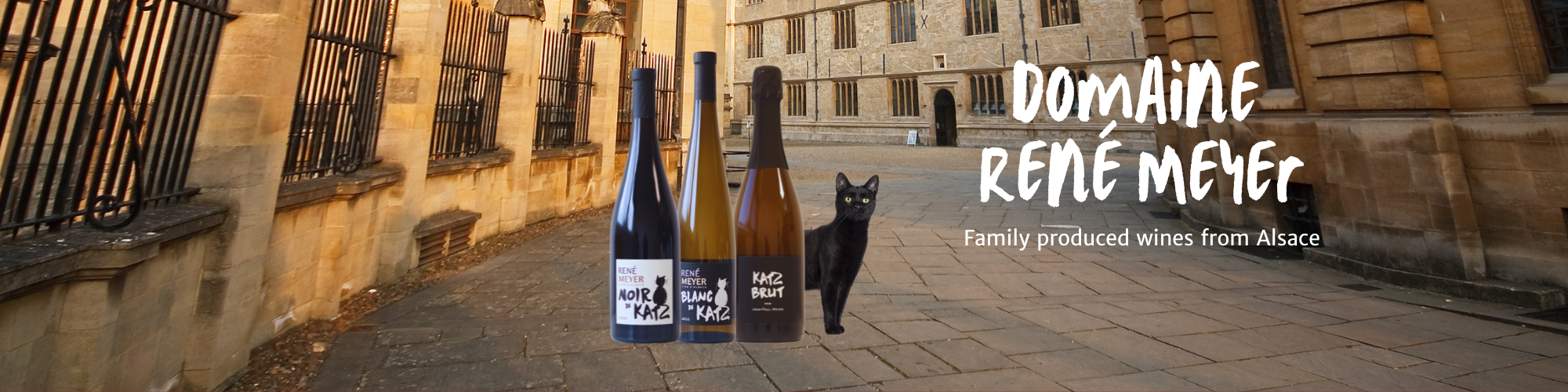 Three bottles of René Meyer Alsace wines set on an Oxford street, with a black cat peeking out from behind them. A caption reads 'Domaine René Meyer: Family produced wines from Alsace'